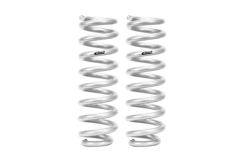 Eibach Pro Lift Kit RAM 1500 4WD