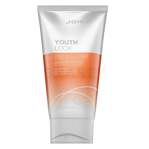 Maschera Trattamento Joico Youth Lock 150 ml