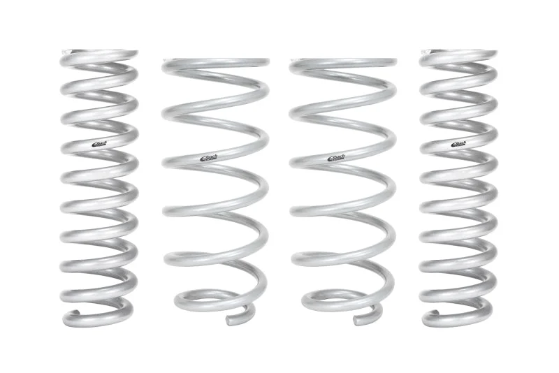 Eibach Pro-Truck F-150 Lift Kit