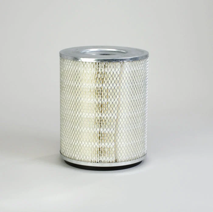 Donaldson P113395 Air Filter