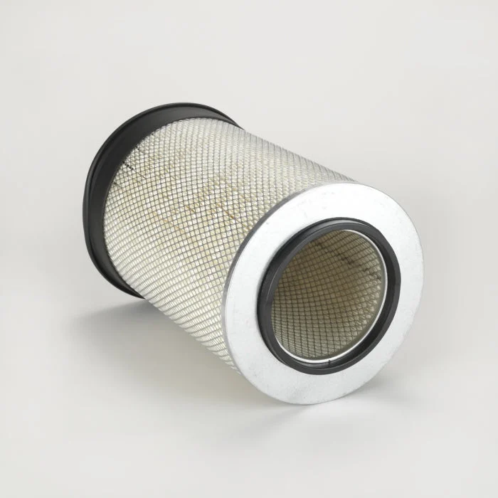Donaldson P115889 Air Filter