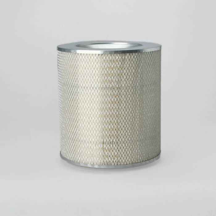 Donaldson P117327 Air Filter