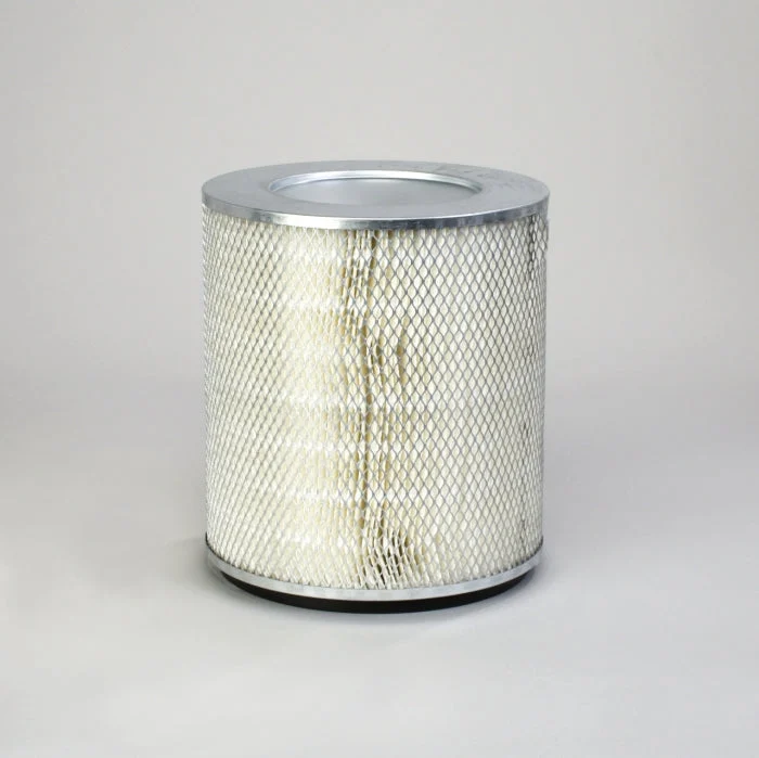 Donaldson P117383 Air Filter