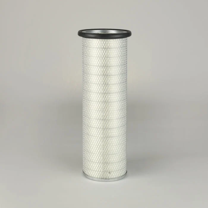 Donaldson P118216 Air Filter