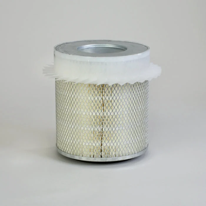 Donaldson P118343 Air Filter