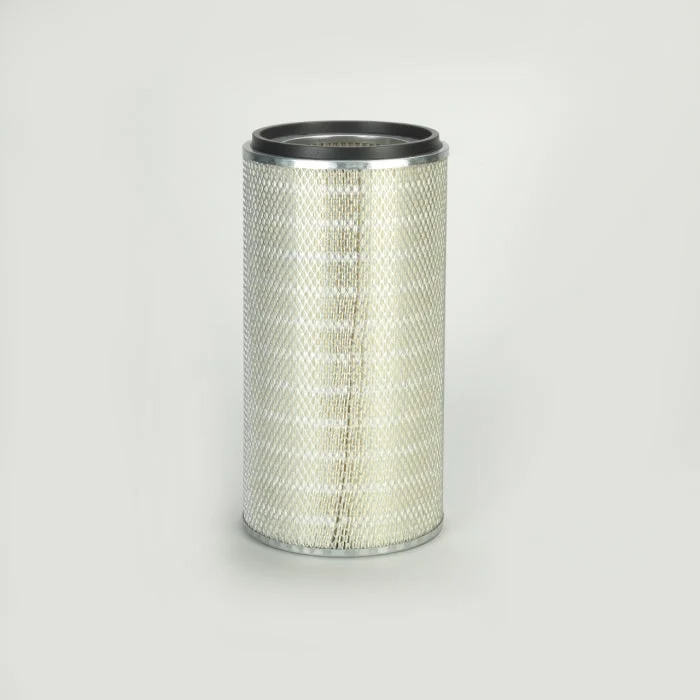 Donaldson P131395 Air Filter