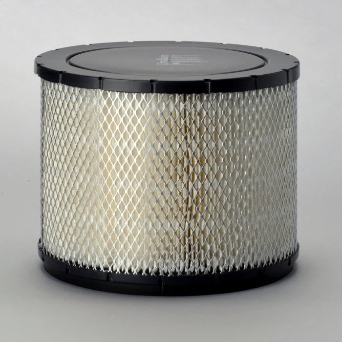 Donaldson P181107 Air Filter
