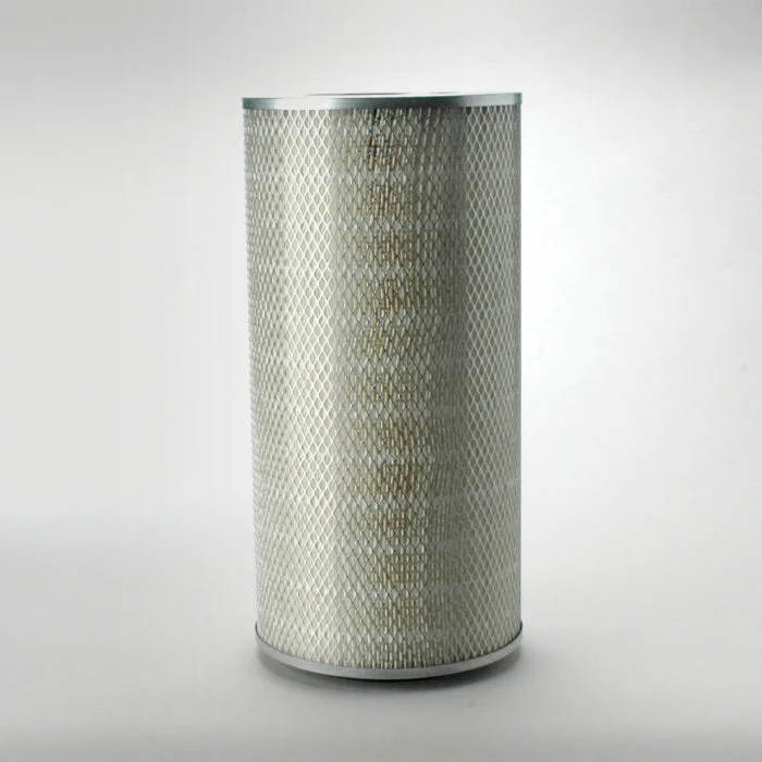Donaldson P181137 Air Filter