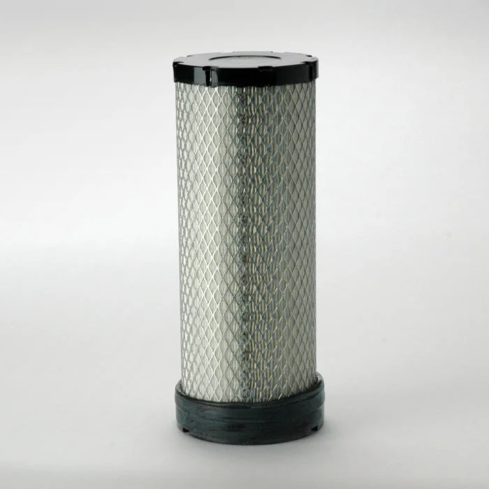 Donaldson P532500 Air Filter
