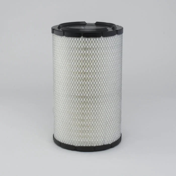 Donaldson P533654 Air Filter