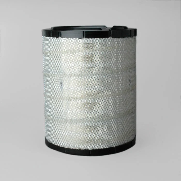 Donaldson P540388 Radialseal Air Filter