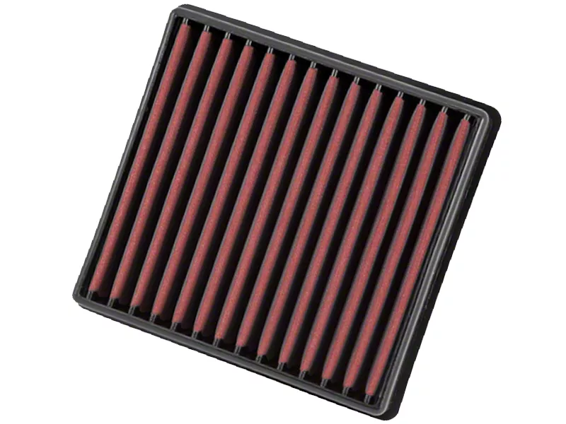 AEM Induction DryFlow Replacement Air Filter (09-26 F-150)