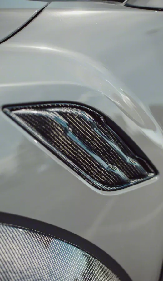 Anderson Composites Type-OE Fender Vents; Carbon Fiber (17-20 F-150 Raptor)