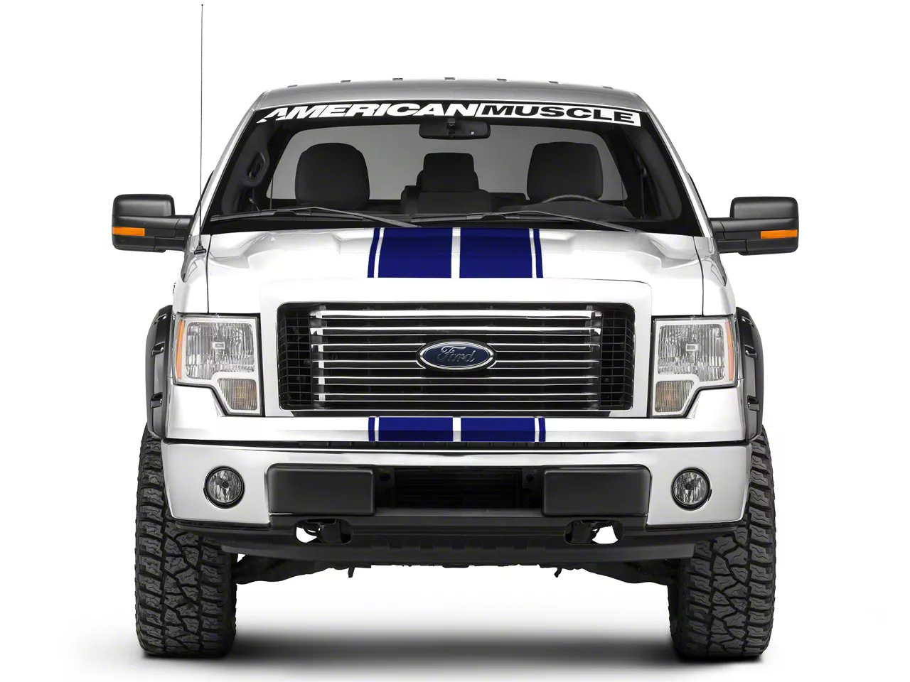 SEC10 Full Length Stripes; Blue; 10-1/4-Inch (09-14 F-150)