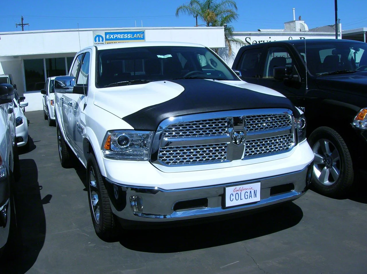 Covercraft Colgan Custom T-Style Hood Bra; Black Crush (2015 RAM 1500 Laramie, Laramie Limited, Laramie Longhorn, 2WD Express Crew Cab)