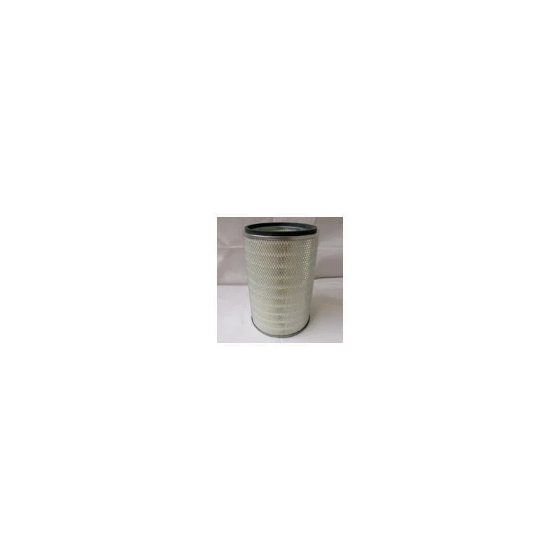 Donaldson P145700 Air Filter