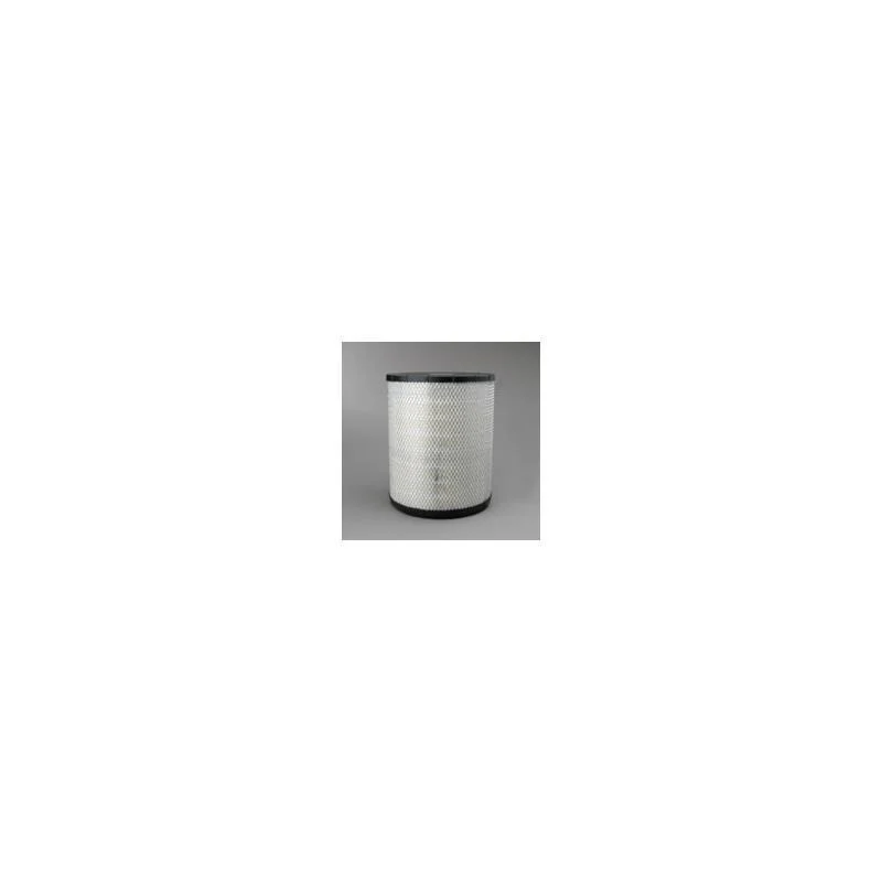 Donaldson P181104 Air Filter