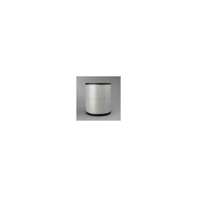 Donaldson P181118 Air Filter