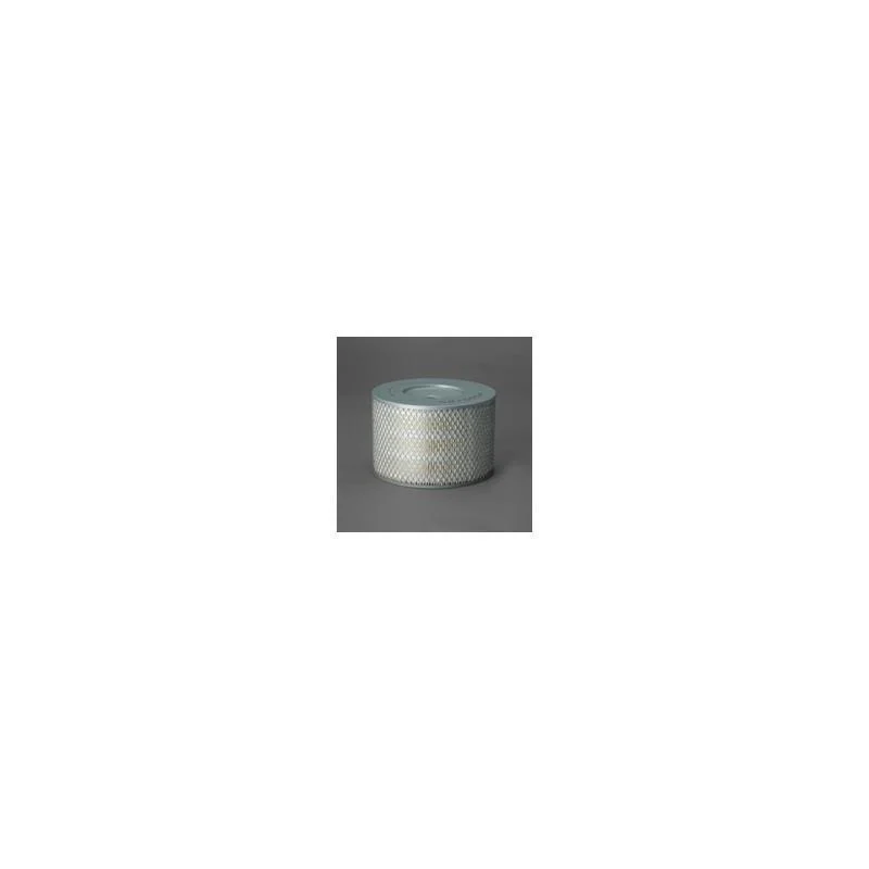 Donaldson P500125 Air Filter