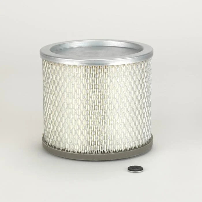 Donaldson P526497 Air Filter