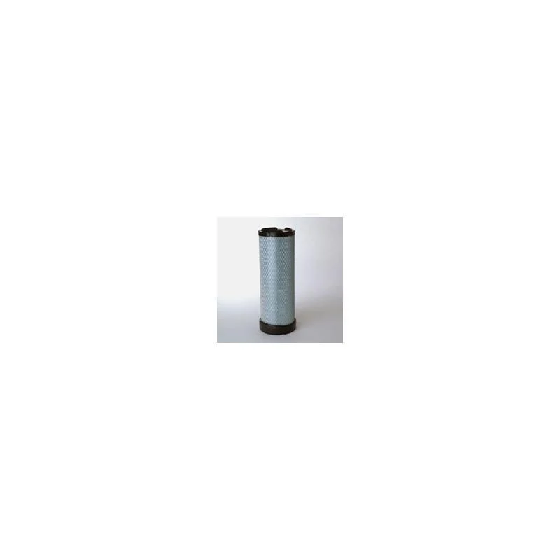 Donaldson P529548 Air Filter