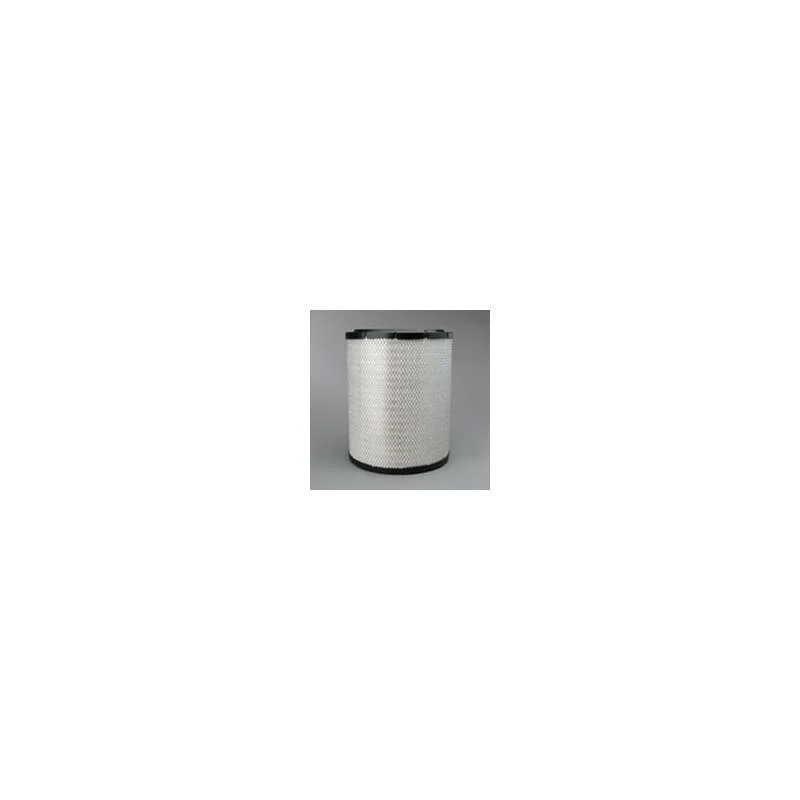 Donaldson P532505 Air Filter