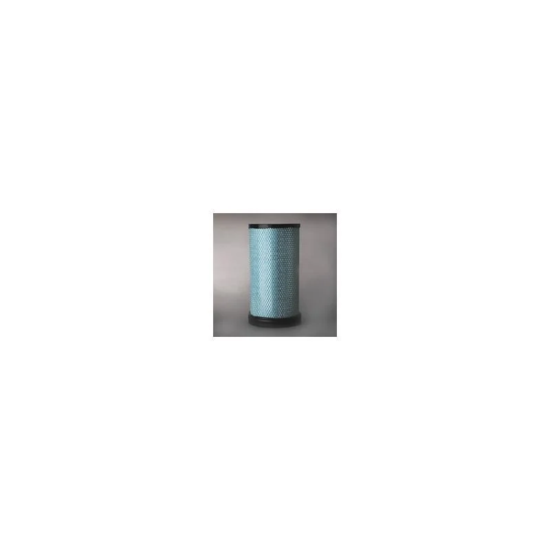 Donaldson P532506 Air Filter