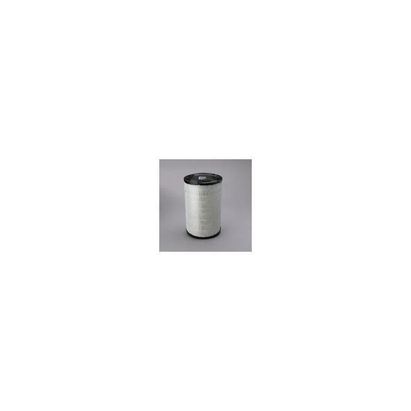 Donaldson P536457 Air Filter