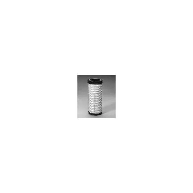 Donaldson P536492 Air Filter