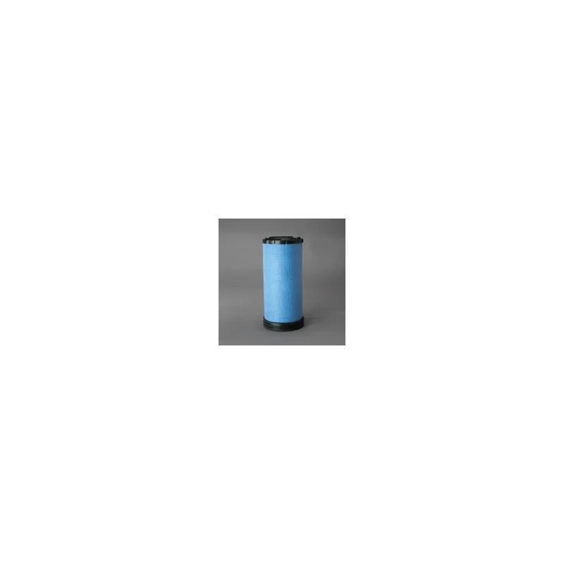Donaldson P537286 Air Filter