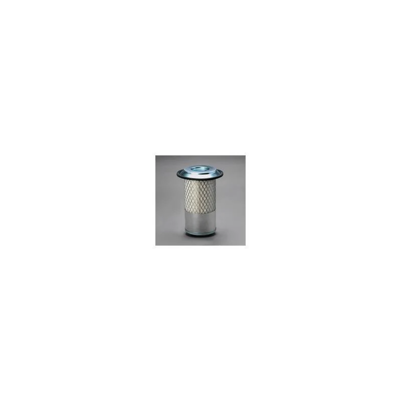 Donaldson P546641 Air Filter