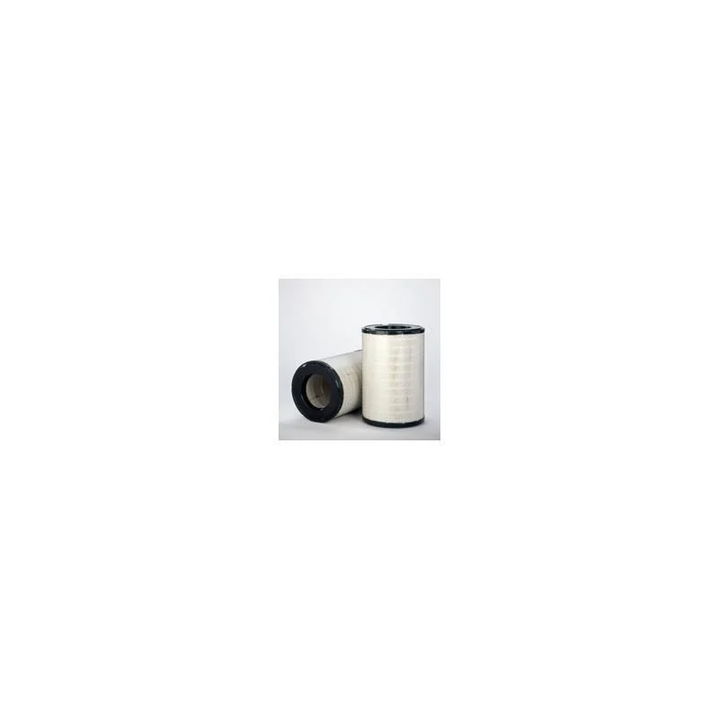 Donaldson P549523 Air Filter