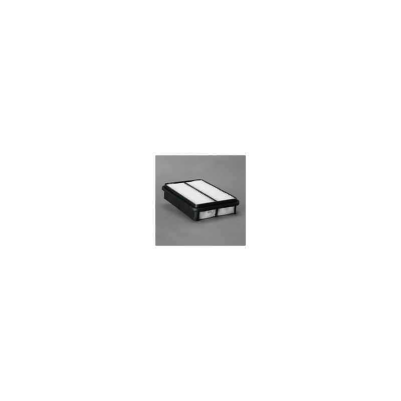 Donaldson P606060 Air Filter