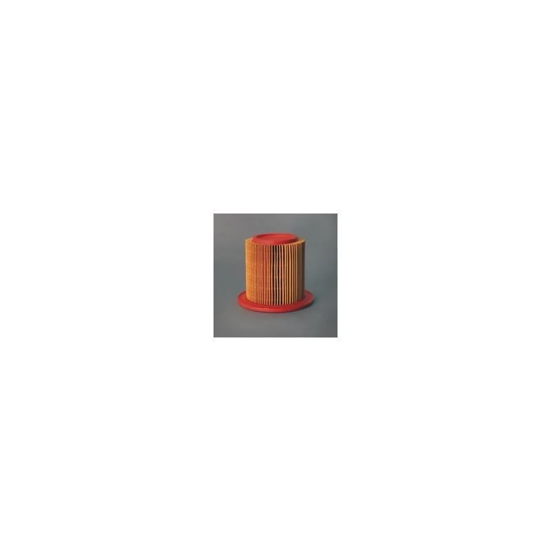 Donaldson P606078 Air Filter