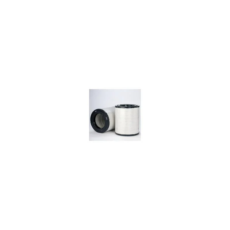 Donaldson P606220 Air Filter