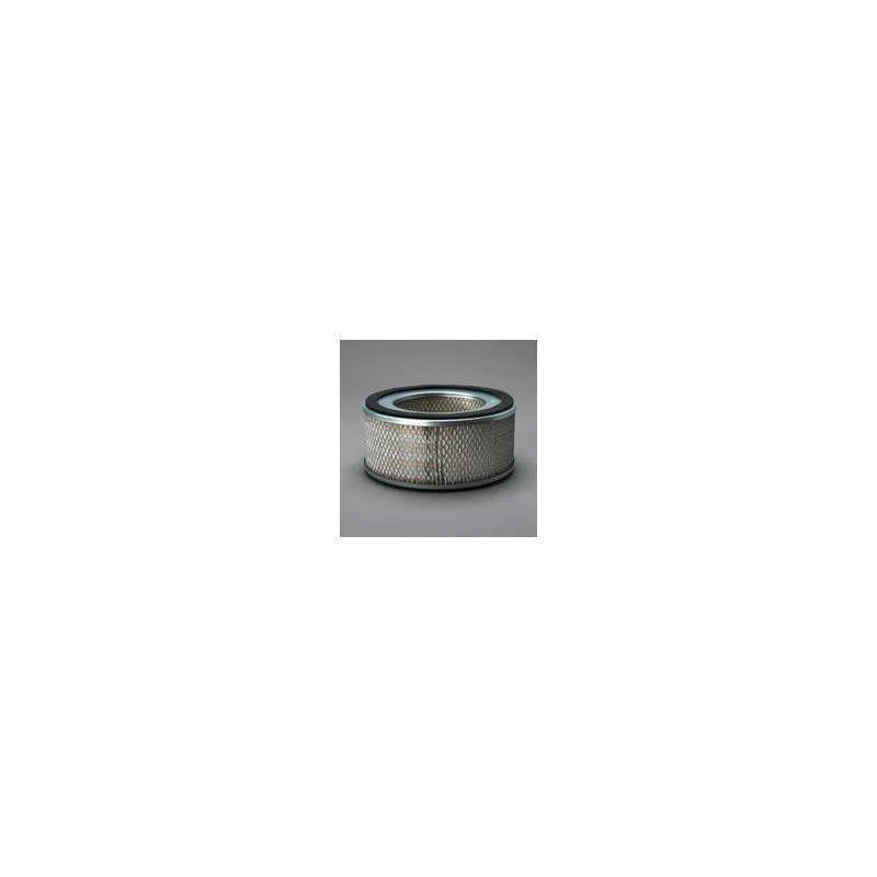 Donaldson P606288 Air Filter