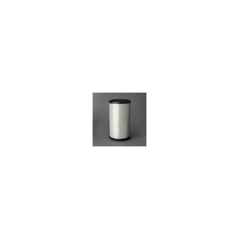 Donaldson P606483 Air Filter