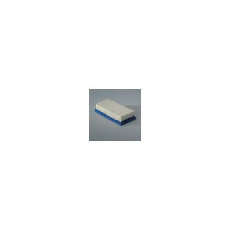 Donaldson P606956 Air Filter