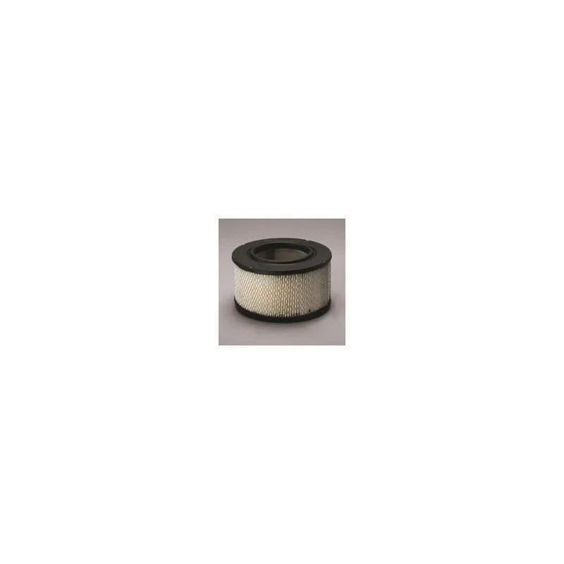Donaldson P606958 Air Filter