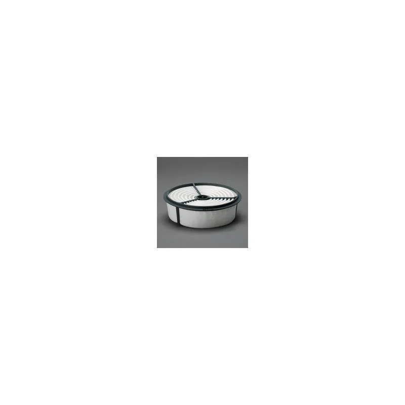 Donaldson P607250 Air Filter