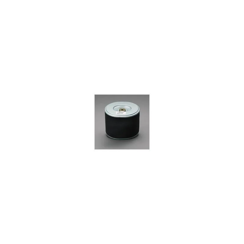 Donaldson P607254 Air Filter