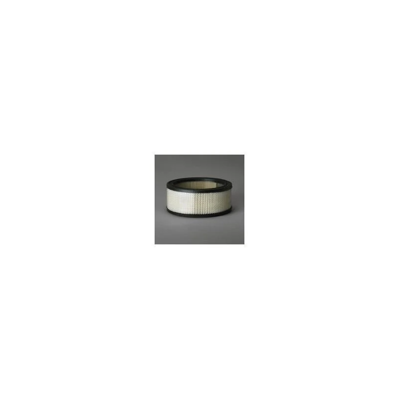 Donaldson P607255 Air Filter