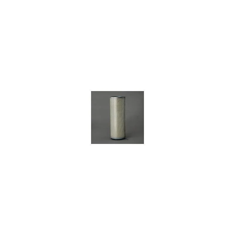 Donaldson P607259 Air Filter