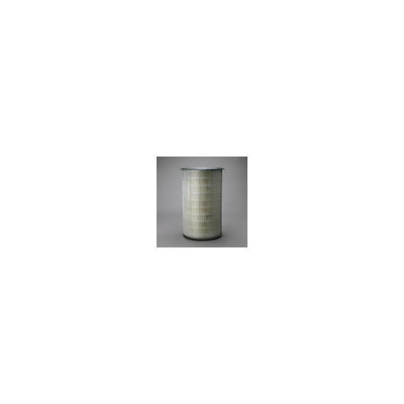 Donaldson P607263 Air Filter