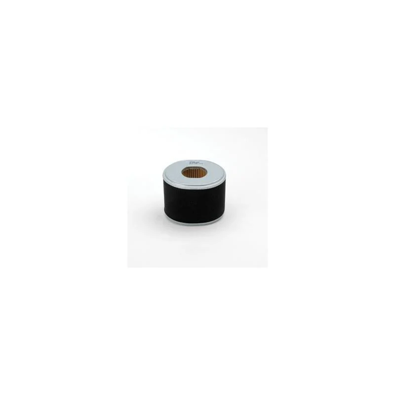 Donaldson P607273 Air Filter