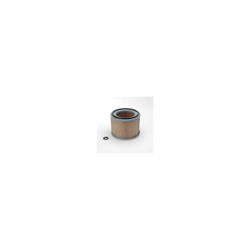 Donaldson P607275 Air Filter