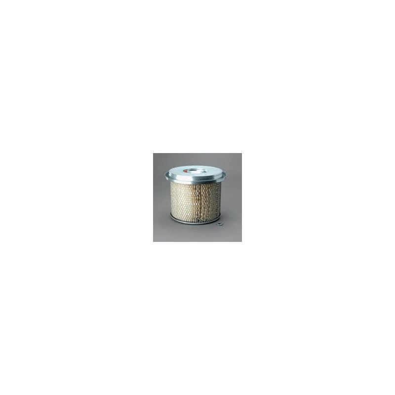 Donaldson P607279 Air Filter
