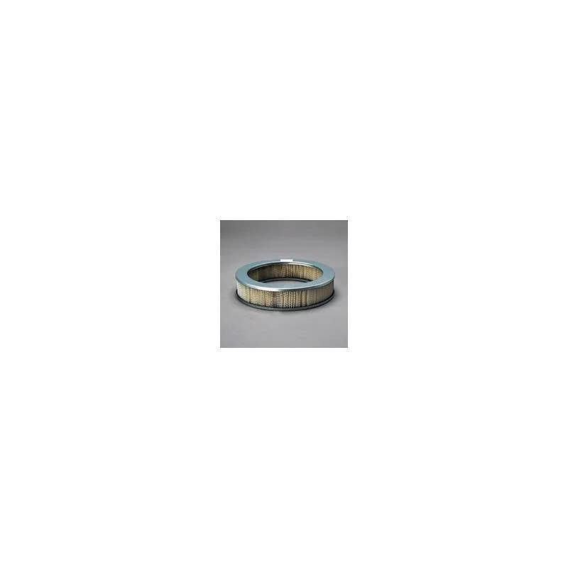 Donaldson P607290 Air Filter