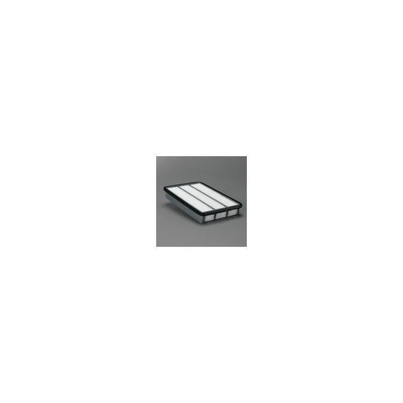 Donaldson P607300 Air Filter