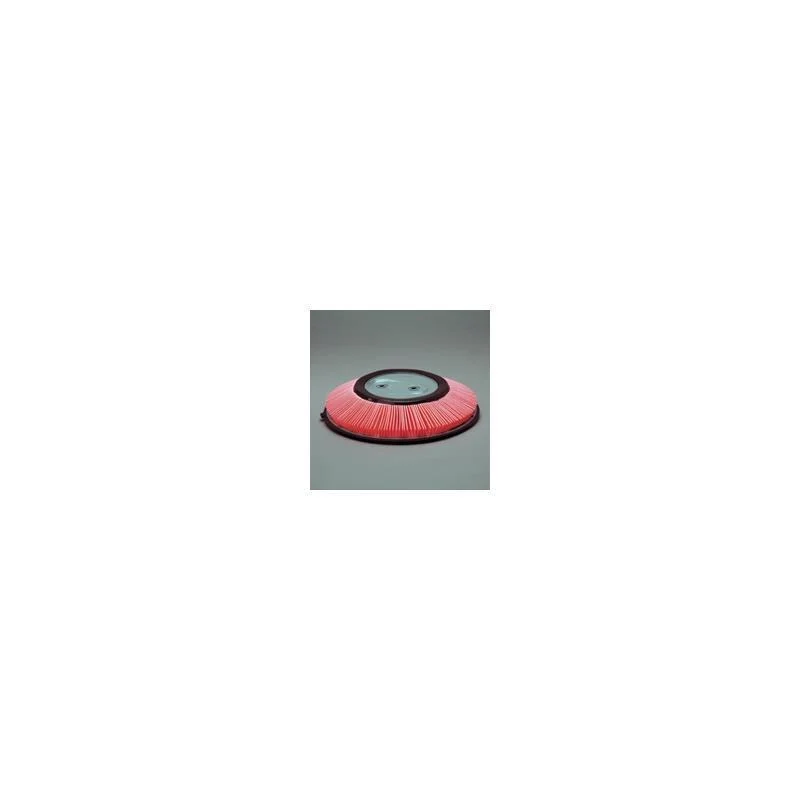 Donaldson P607301 Air Filter